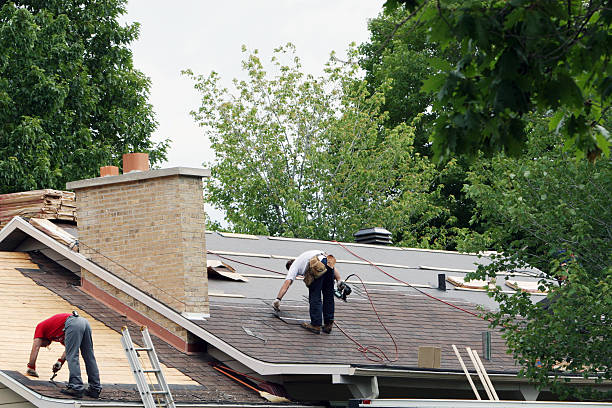 Roof Gutter Cleaning in New Lexington, OH