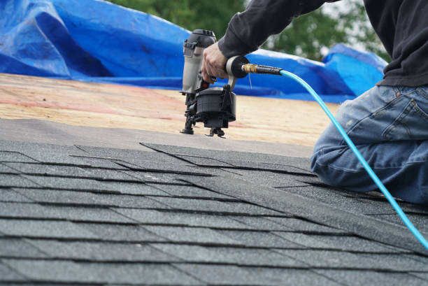 Best Roof Gutter Cleaning  in New Lexington, OH